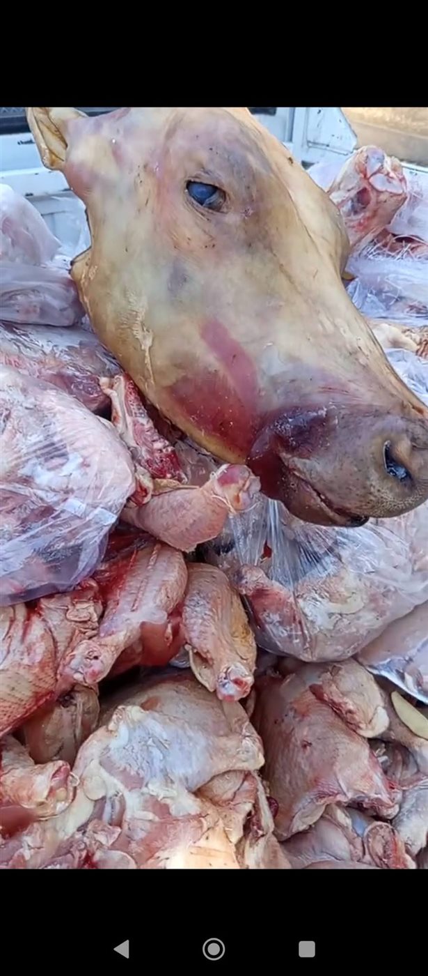 حملات الطب البيطري بالأقصر&nbsp;<br>&nbsp;