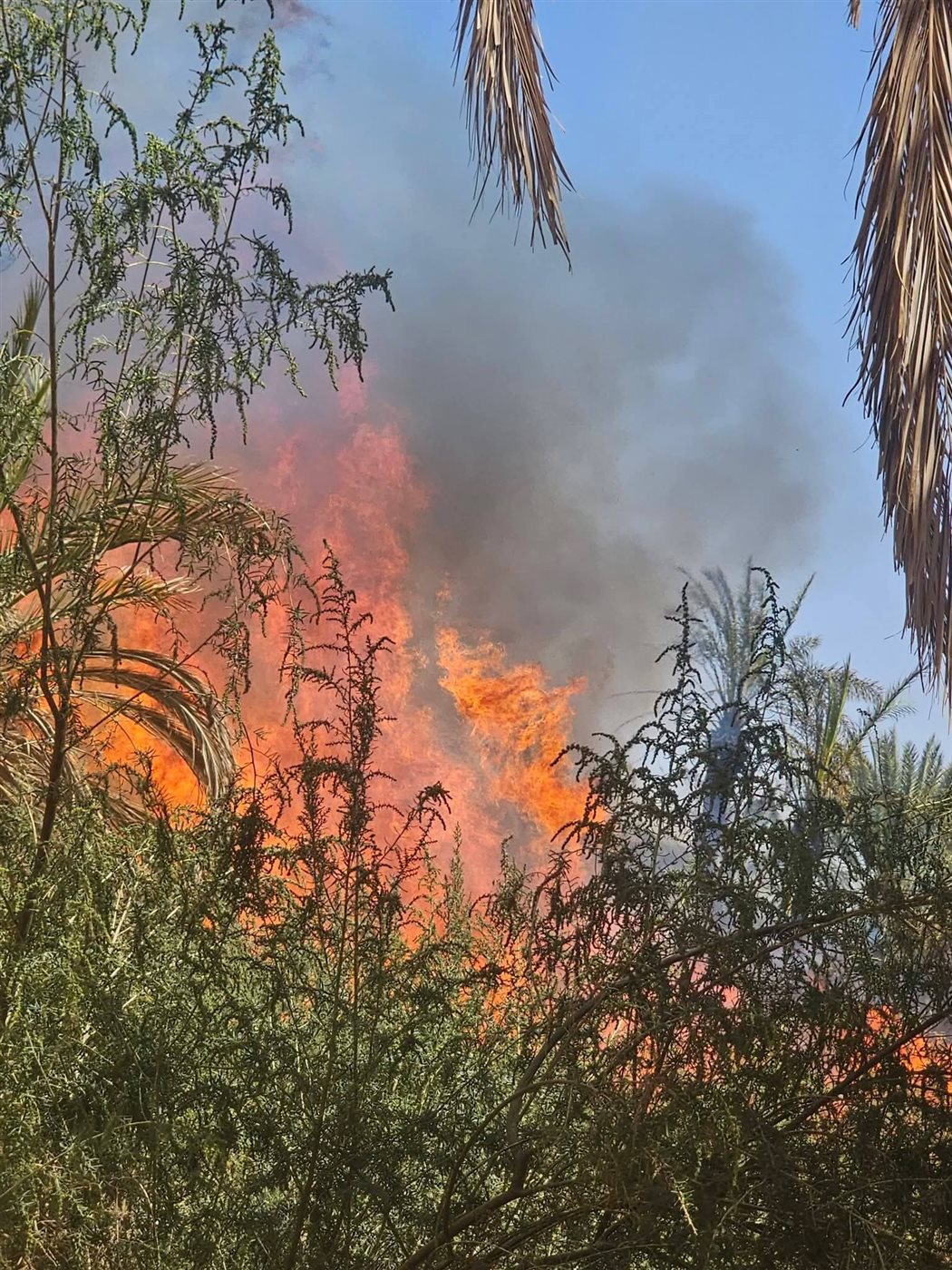 جانب من الحريق<br>