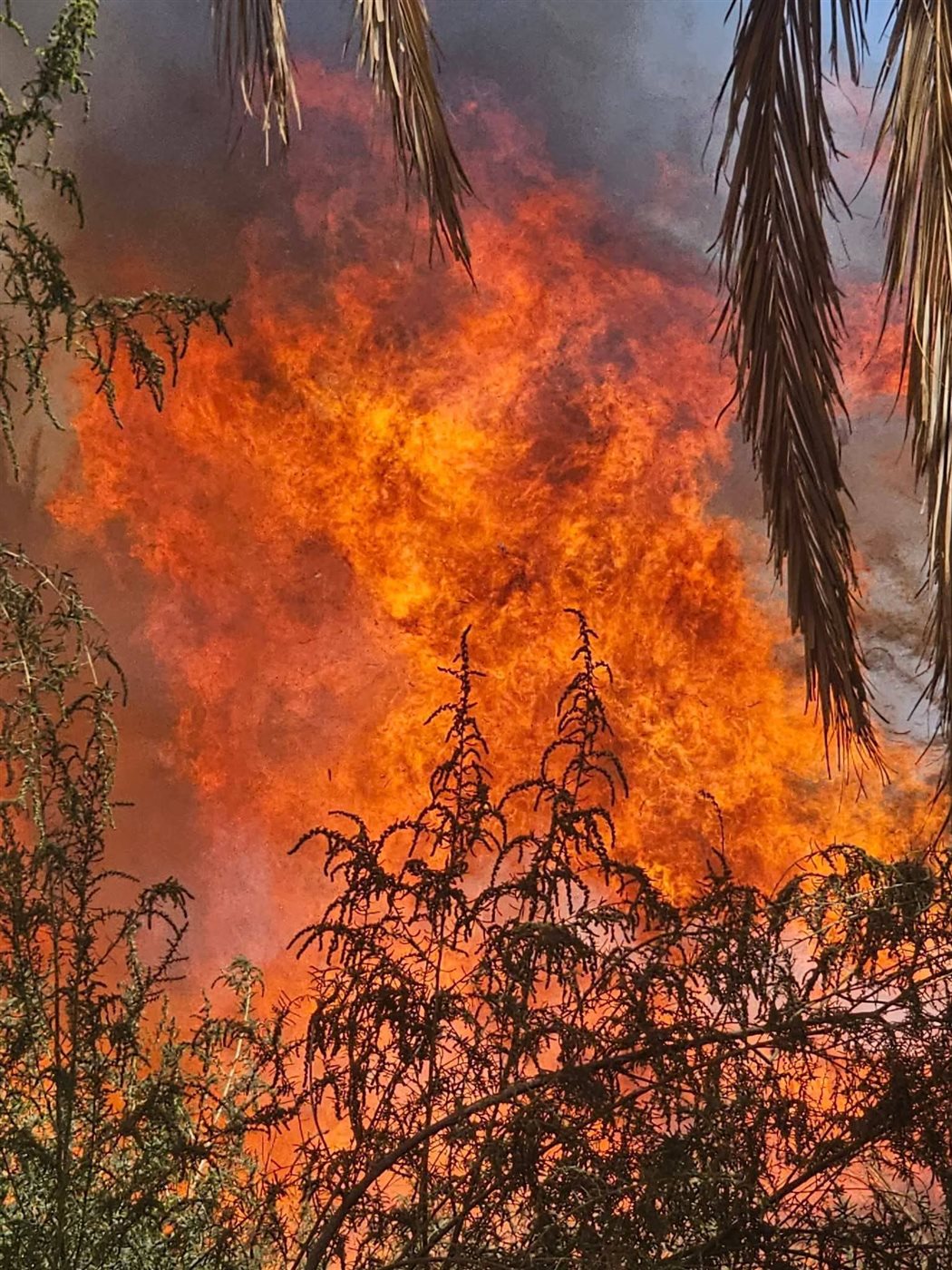 جانب من الحريق<br>