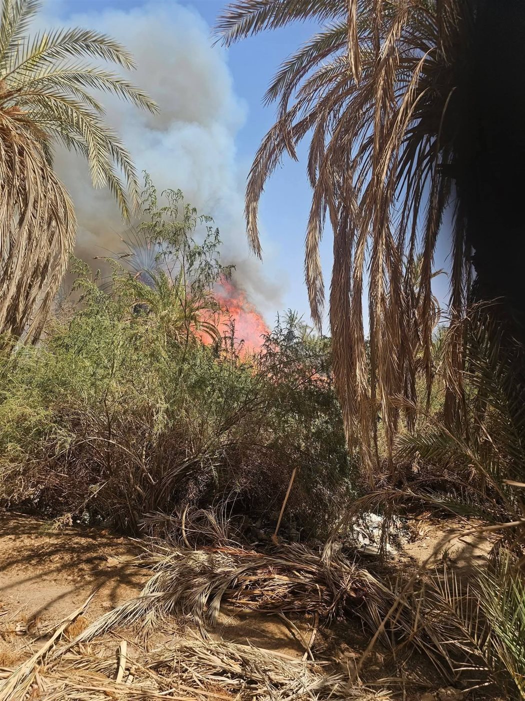 جانب من الحريق<br>