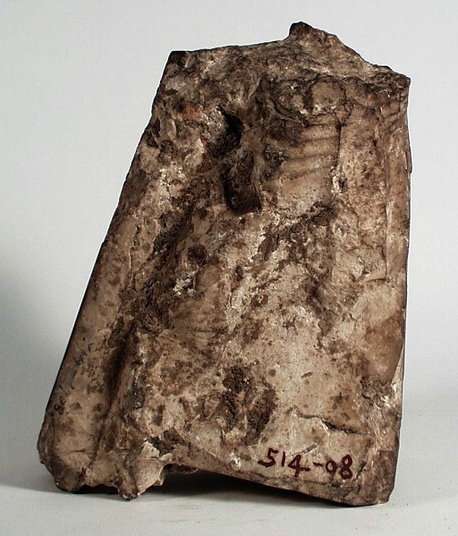 &nbsp;قطعة مصرية نادرة لـ كاتب ملكي من مدينة منف<br>&nbsp;