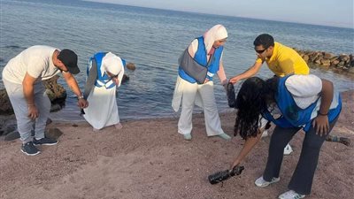 مبادرة أهالي دهب.. التطوع بـ نظافة الشواطئ مقابل الإقامة المجانية