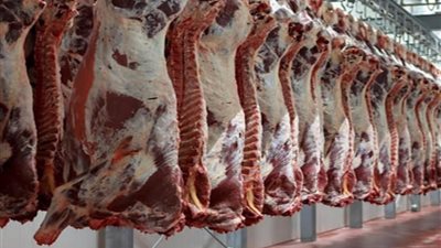 البتلو بـ 450..أسعار اللحوم الحمراء بالأسواق التجارية