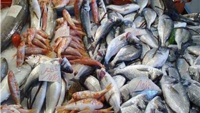 الكاليماري بـ 390..أسعار الأسماك داخل سوق العبور 