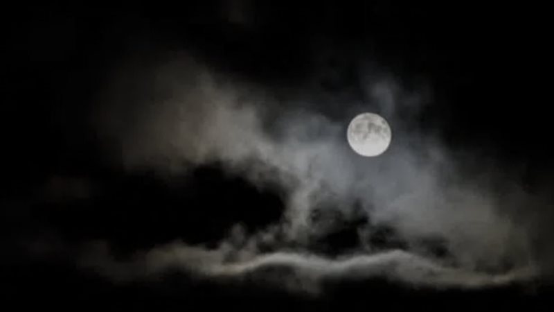 IMG_20240210_144518