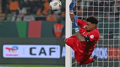 انجازات ويليامز حارس مرمي جنوب افريقيا ورفاقه