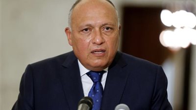 غداً.. شكري يشارك باجتماع وزراء خارجية دول مجلس التعاون ومصر بجده