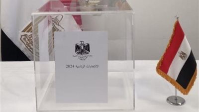 الانتخابات الرئاسية 2024.. احذر 10 أخطاء تبطل صوتك في الانتخابات