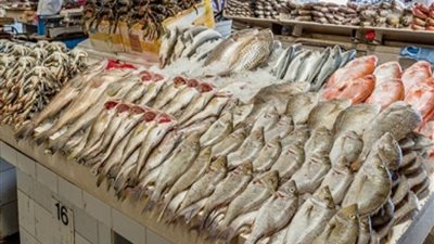 أسعار الأسماك بالمحال التجارية والأسواق التجارية
