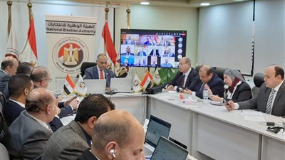 بنداري: رصدنا نفاذ بطاقات الاقتراع في بعض اللجان وتم حل المشكلة