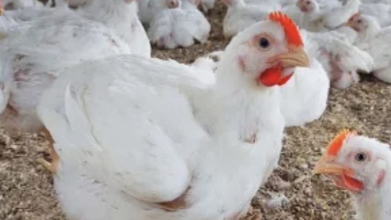 923126C4-56F8-4AEF-BB7F-667A960887FD