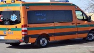 ضحايا لقمة العيش.. إصابة 7 عمال إثر حادث انقلاب في الشرقية 