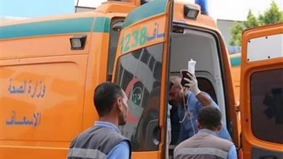 بالاسم والسن.. إصابة 11 عاملة إثر حادث إنقلاب سيارة في منيا القمح 