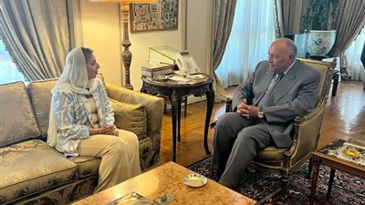 شكري يؤكد عزم مصر على مواصلة دعمها لعمل منظمة تنمية المرأة