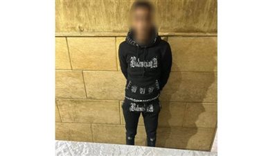 القبض على المتهم بالتعدي على كلب بسلاح أبيض في القاهرة