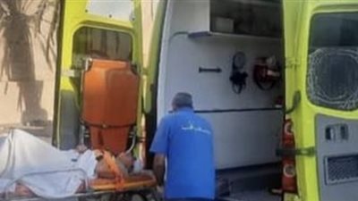 أثناء عبوره الطريق.. سيارة مسرعة تنهي حياة مسن في البدرشين