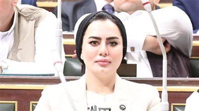 رحاب موسى : لقاء السيسي وبن زايد يسعي لخلق فرص جديدة للتعاون المشترك