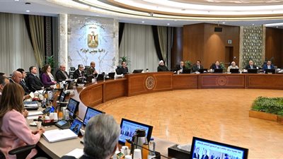 مدبولي يوافق على قرار تحديد سعر توريد القطن لموسم 2025