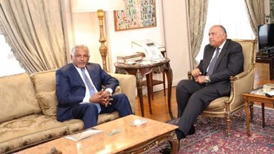 شكري يستقبل المبعوث الخاص لرئيس مجلس السيادة السوداني