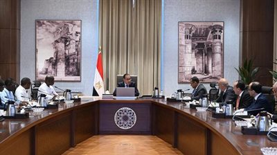 رئيس الوزراء يؤكد أهمية تعزيز التبادل التجاري الأفريقي