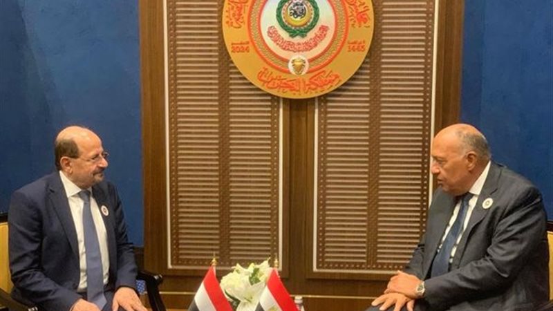 شكري ونظيره اليمني||