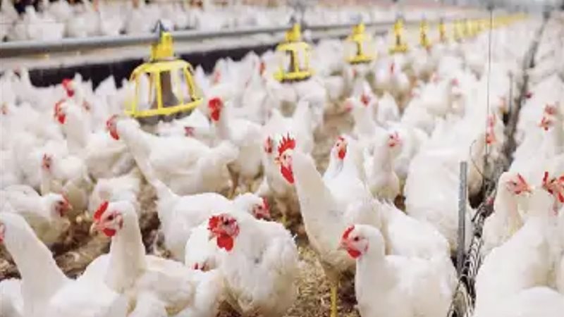 253AFA1F-4549-4291-92D9-B13FB25040C4