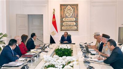 الرئيس : انتقال الحكومة للعاصمة الإدارية يجب أن يكون أساسا لتحديث الجهاز الإدارى