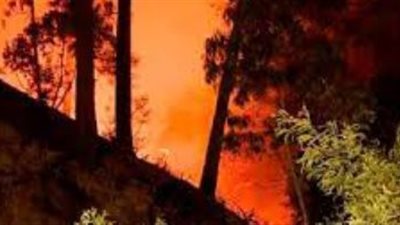 مصرع سيدة وإصابة 3 من أسرة واحدة بالشرقية