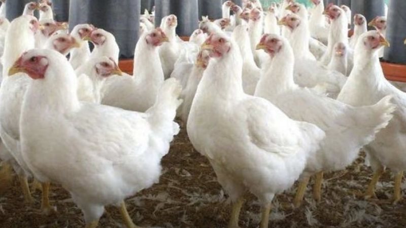 38E50D31-BA07-4B24-8553-5A1BD5177020