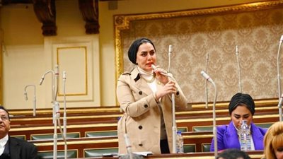نائبة: متابعة الحكومة لمشروعات تطوير القاهرة التراثية يستهدف إعادة إحياء التراث التاريخي
