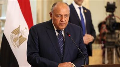 الخارجية : مصر تسعى إلى وقف إطلاق النار الفوري في السودان