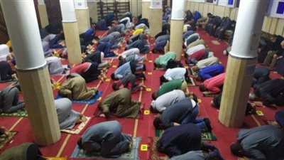 الإفتاء المصرية توضح حكم ترك العمل وأداء صلاة التراويح