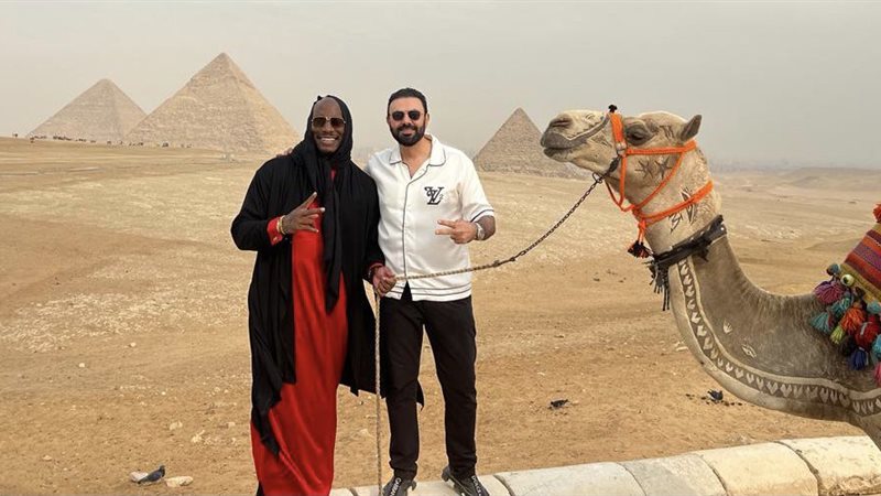 FD14D9CB-5A00-4DCA-B231-A20D60497508||3FF0A803-927E-43A9-9D