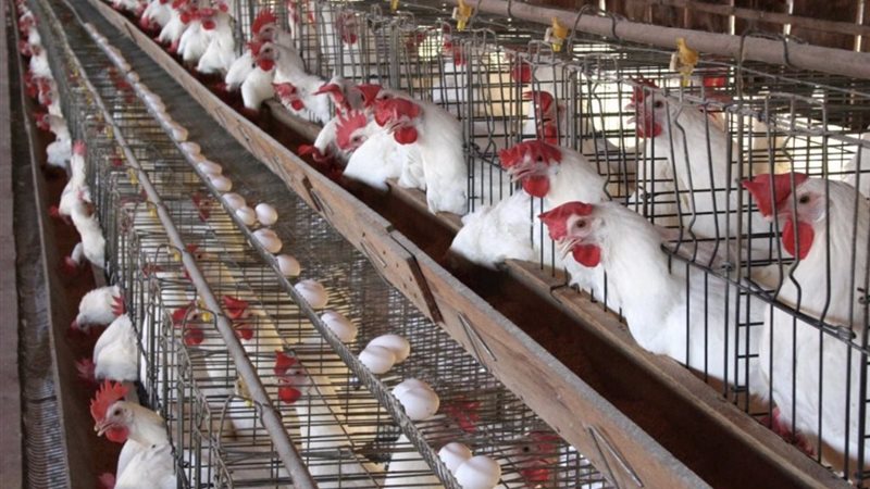 9EF0DC7E-B477-4EDD-A4C8-A79932085856