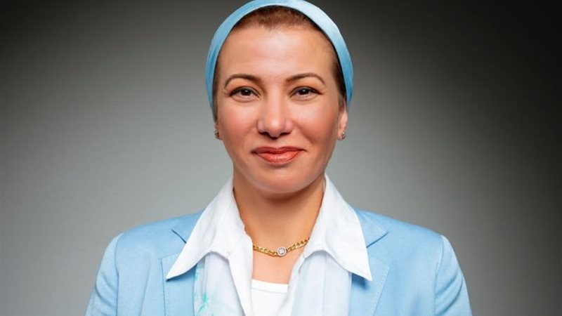 الدكتورة ياسمين فؤاد