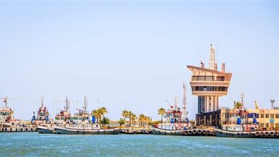 قمح وحديد| ميناء دمياط يكشف تفاصيل حركة السفن خلال الـ 24 ساعة الماضية