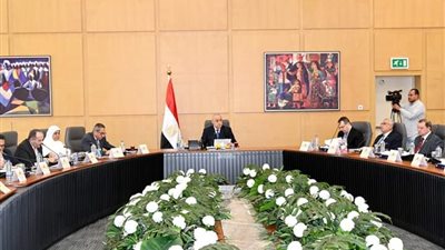 الجزار: رغم التحديات الاقتصادية لكن الدولة مستمرة في تنفيذ مشروعات حياة كريمة 