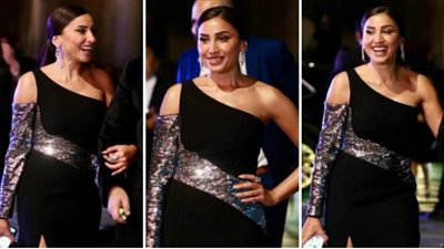 دينا الشربيني تتألق بإطلالة سوداء في حفل 