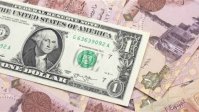 ثبات الدولار يثير التفاؤل: هل ستشهد الأسواق المصرية فترة استقرار مطولة؟