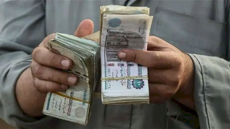 image_750x_650f3528f3ad4