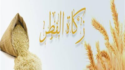 الافتاء تكشف أحكام زكاة الفطر