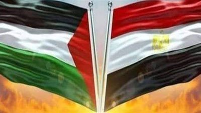 استشهاد مصريتان جراء قصف الاحتلال الإسرائيلي