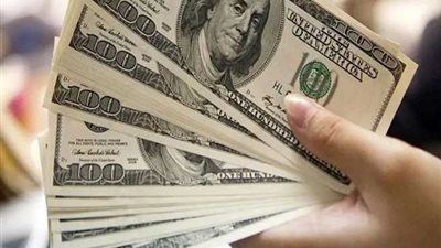 استقرار سعر الدولار الرسمي اليوم بمختلف البنوك المصرية