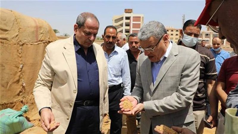 محافظ المنيا||الشون