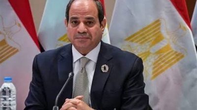 خبير علاقات دولية: مصر ثابتة وراسخة في القضية الفلسطينية وحكمة السيسي واضحة