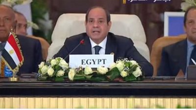 نبيل أبوالياسين: إنقاذ غزه بين قمة القاهرة للسلام وإزدواجية المعايير الغربية