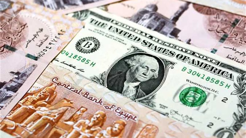 سعر الدولار في البنوك