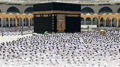 بالصور.. نقل 45 ألف حاج إلي جدة والمدينة المنورة هذا العام