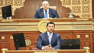 7 توصيات من مجلس الشيوخ للنهوض بقطاعي الشباب والرياضة.. تعرف