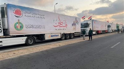 شيخ الأزهر يوجه بتسيير أكبر قافلة إغاثة إلى غزة